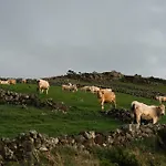 Hotel Da Graciosa 4*