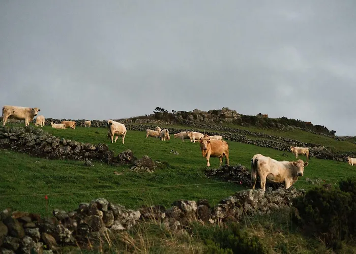 Hotel Da Graciosa 4*